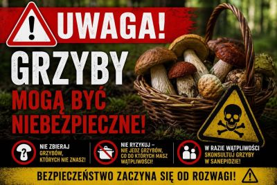 Jak odróżnić kanię od muchomora?